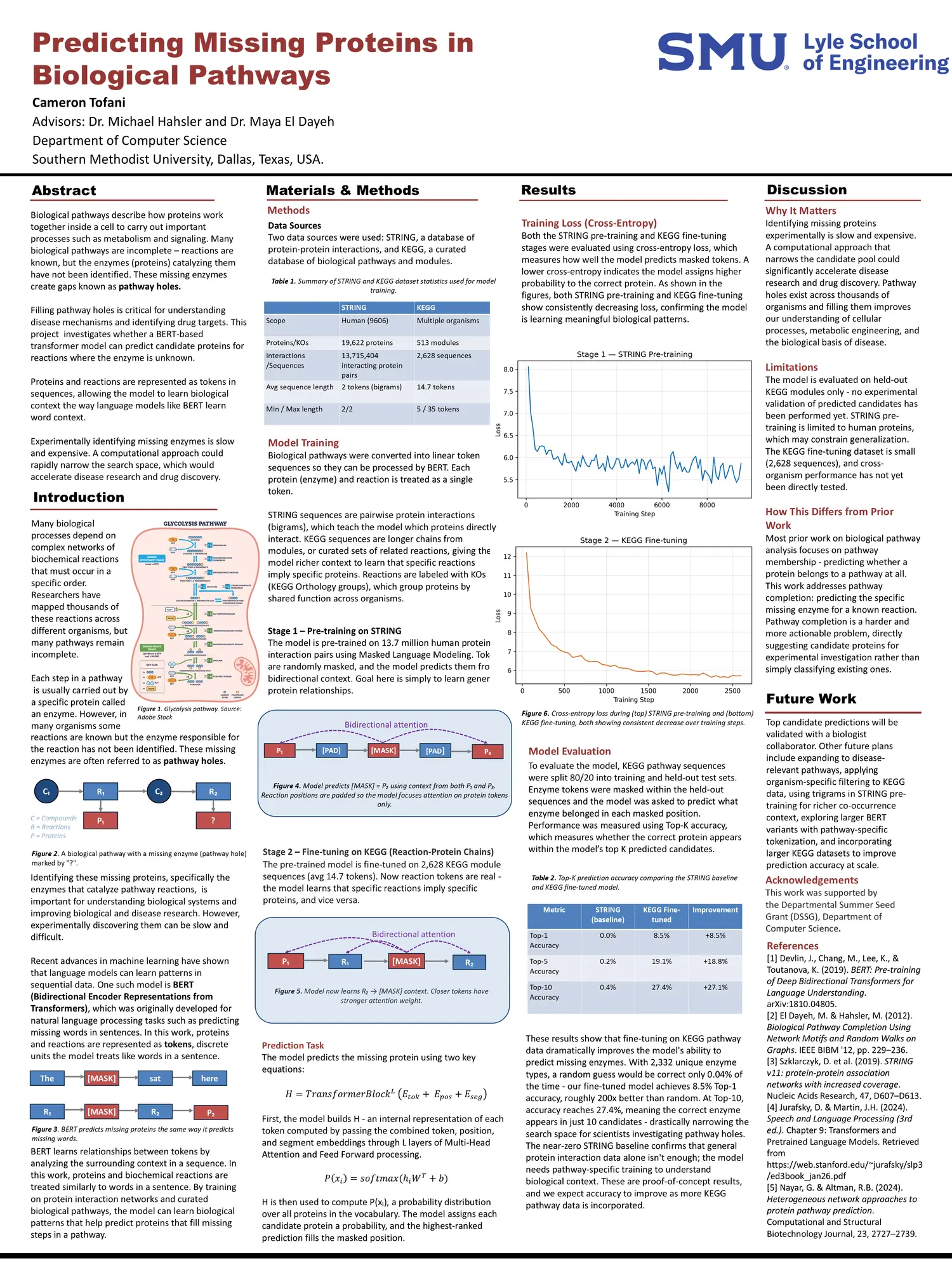 Cameron Tofani's poster on missing protein prediction in biological pathways